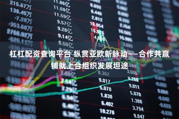 杠杠配资查询平台 纵贯亚欧新脉动——合作共赢铺就上合组织发展坦途